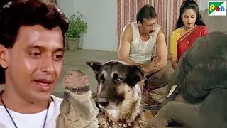 बंदर, कुत्ता और हाथी की ज़बरदस्त मूवी Main Tera Dushman और Parivaar के बेस्ट सीन्स - Mithun - Jackie