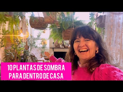 10 PLANTAS de SOMBRA para DENTRO DE CASA 🏡 🪴🌸