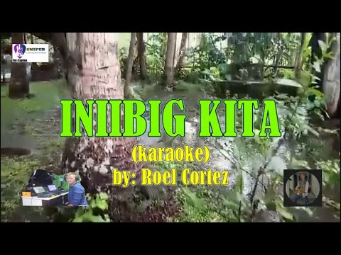 Iniibig kita by: Roel Cortez  (Karaoke)