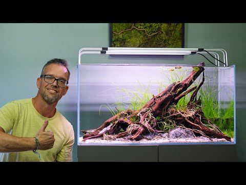 Pro Guide to Aquascaping - Part One - The Equipment (4K)