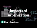Exploring the Effects of Urbanization on the Environment