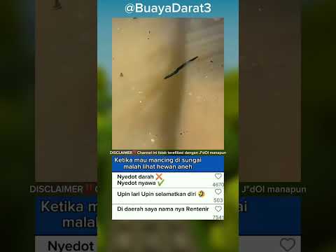 Ketika mau mancing di sungai malah lihat hewan aneh