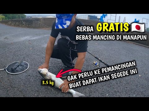 MASIH PERAWAN || SEPERTI INILAH GAMBARAN KETIKA KALIAN MANCING DI JEPANG