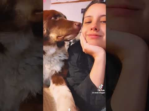 #perritos #doglove #humanos #perrihijos