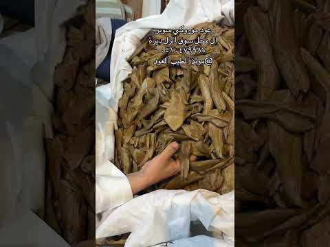 عود مروكي سبور #الرياض #السعوديه #ترند #ترند_السعودية #عود #bmw #Mercedes