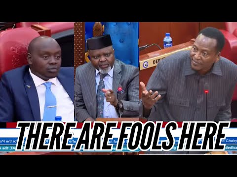 'YOU ARE FOOLS!' DRAMA! SENATOR ONYONKA ALMOST KICKED OUT OF SENATE AFTER CLASHING WITH UDA SENATORS