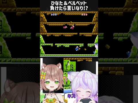 thumbnail_2CBolsazvcs