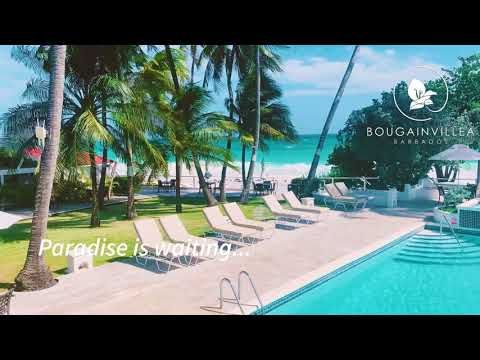 Paradise waiting at Bougainvillea Barbados