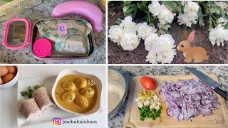 A Busy Day in My Life | തിരക്ക്‌ പിടിച്ച ഒരു ദിവസം | Working Mom Life in America | Kids Lunch Box