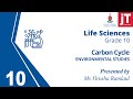 Understanding the Carbon Cycle
