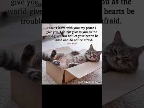 #worshipmusic #christianmusic #music #cat #christiansongs #dailybibleverse #love #cute #gospelmusic