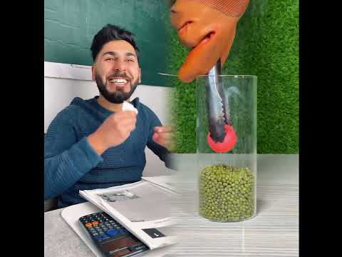 Damit hat der Schüler nicht gerechnet🤦🏽♂️😂 #fürdich #foryou #foryoupage #comedy