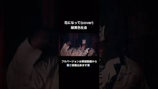 花になって / 緑黄色社会(Loud cover) 【covered by Winter Solstice】#video#shorts#guitar#metal#rock#vocal#薬屋のひとりごと