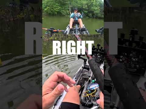 Get that fish in!