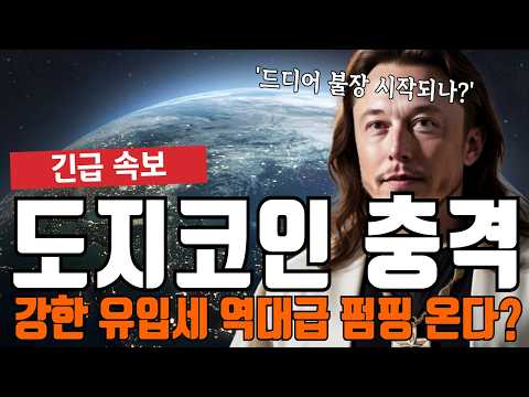 도지코인 엄청난 유입 들어옵니다 역대급 폭등 임박