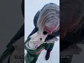 Family Dynamics with a New Dog