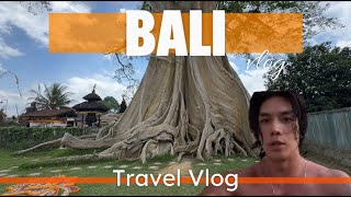 [🇮🇩발리 여행VLOG] 진짜로 신이 산다는 나무를 보고 왔다