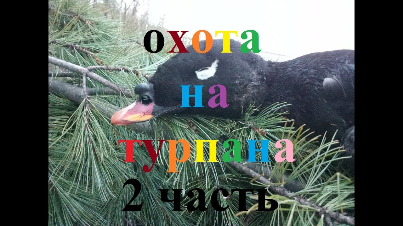 часть 2 Охота на турпана в Якутии hunting for ducks in
