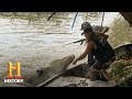 Alligator Encounters and Reactions