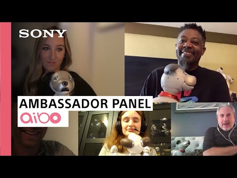 aibo | Ambassador Panel