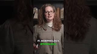 Phonology Isn't the Framework #linguistics #writing