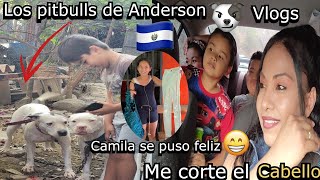 LOS PITBULLS DE ANDERSON🐶| VLOGS🇸🇻