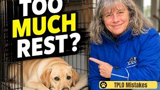 The Biggest TPLO Recovery Mistake Owners Make !