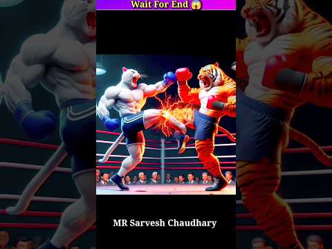 Billu and Tiger fight🐱 #cat #catlover #cutecat #cats #catsofyoutube #catshorts #catlove #viralshorts
