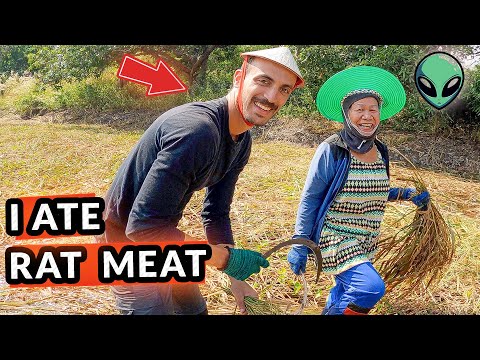 I eat Rat Meat in Rural Thailand ๐๐น๐ญ