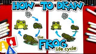 How To Draw The Frog Life Cycle