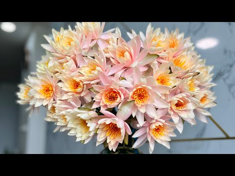 Heart water lily flowers arrangement | Cắm hoa súng cam cá hồi hình trái tim