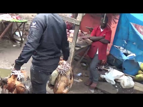 Agabuutikidde Okukuza Ssekukkulu Abakulembeze bayisizza amateeka teri kutambuza nnyama ku boda boda