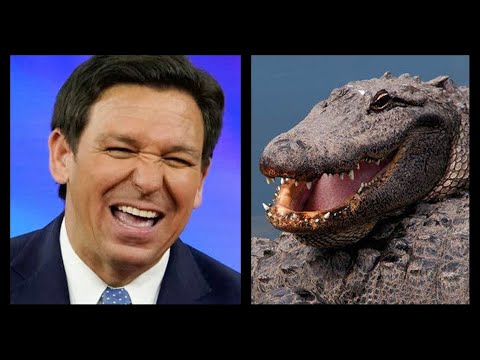 Florida's 'Alligator Alcatraz' to Take in Illegals?!