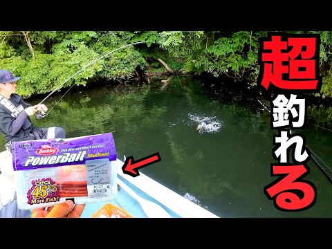 釣具屋さんで見かける地味なルアー使ってみたらほんと釣れたので紹介します!
