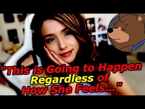 The Pathetic Life of a Homeless Pokimane Stalker