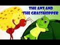 The Ant and the Grasshopper
