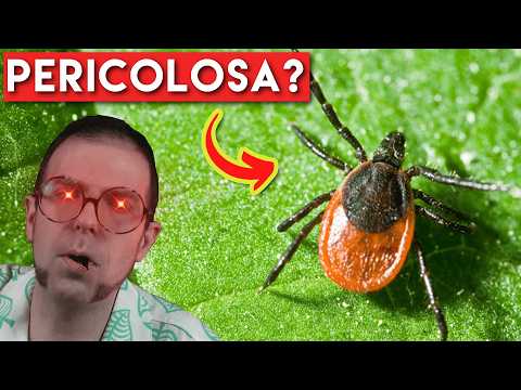 TUTTO quello che (non) volevi sapere sulle ZECCHE
