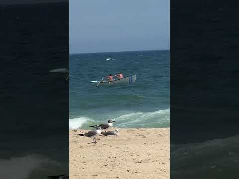 Seagulls #seagulls #fyp #viral #beach #fypシ゚viral