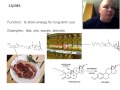 Biomolecules and Their Functions
