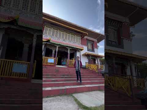 One year of memories in Sikkim          #zubeen_da #assamesesong # justicezubeengarg