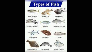 The Unbelievable Diversity of Fish
