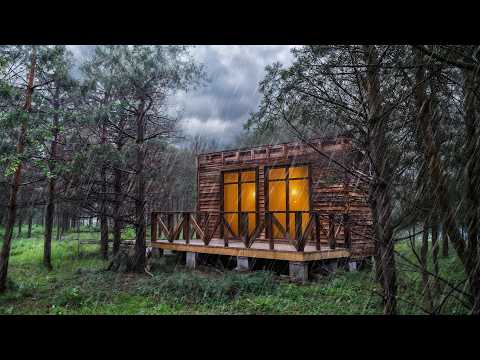 Tropical Storm Hits My FRAME HOUSE: I Create Comfort with the Sounds of Rain