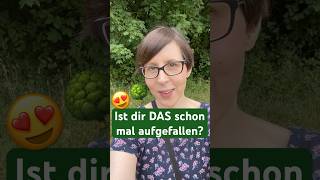 Ist dir das schon mal aufgefallen? 🌳 👋 🥰 #natur #bäume #wind #kommunikation