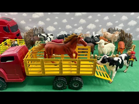 HORSE AND COW BEING TRANSPORTED IN THE CART / CAVALO E VACA SENDO TRANSPORTADOS NA CARRETA