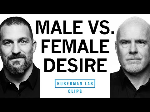 Why Men & Women Show Attraction Differently | Dr. Michael Platt & Dr. Andrew Huberman