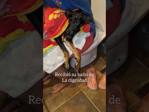 Ramon 💖🐾