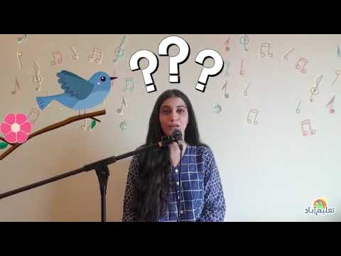 Pakistan’s # 1 Learning App | Natasha Noorani | Taleemabad Song | Download FREE now!