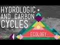 Exploring the Hydrologic and Carbon Cycles