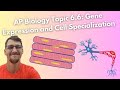 Gene Expression and Cell Specialization