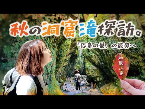 大迫力！恐竜の巣のような洞窟の奥に隠された秘密の滝へ【和歌山県】